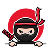 NinjaSpinner logo
